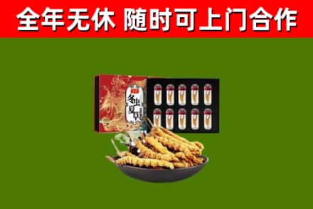 杭州回收冬虫夏草价格